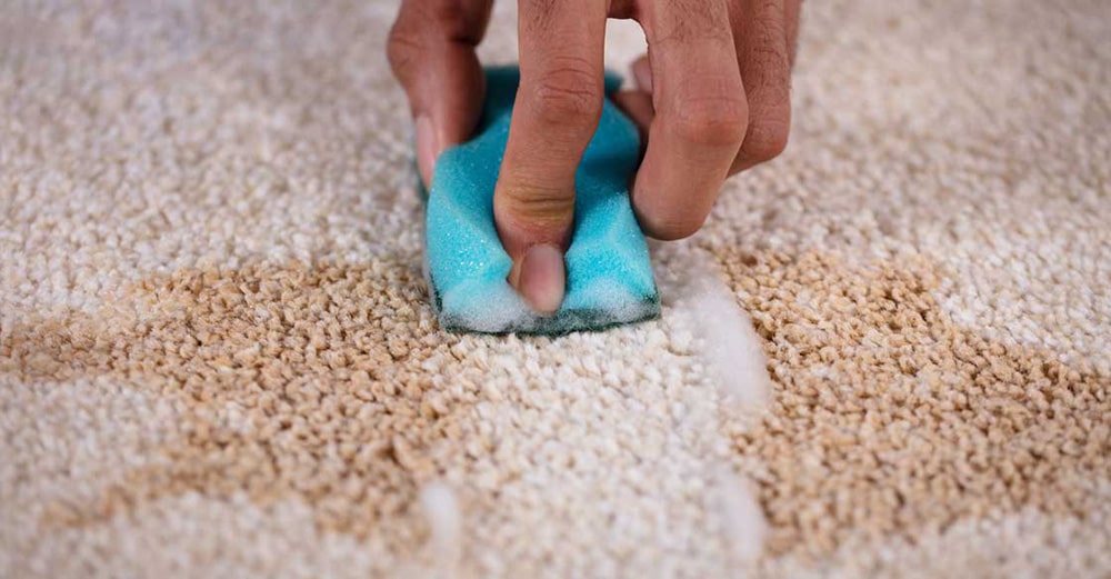 How Do I Deep Clean My Carpet? 5 Pro Tips